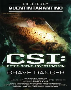 犯罪现场调查 第五季 CSI： Crime Scene Investigation Season 5